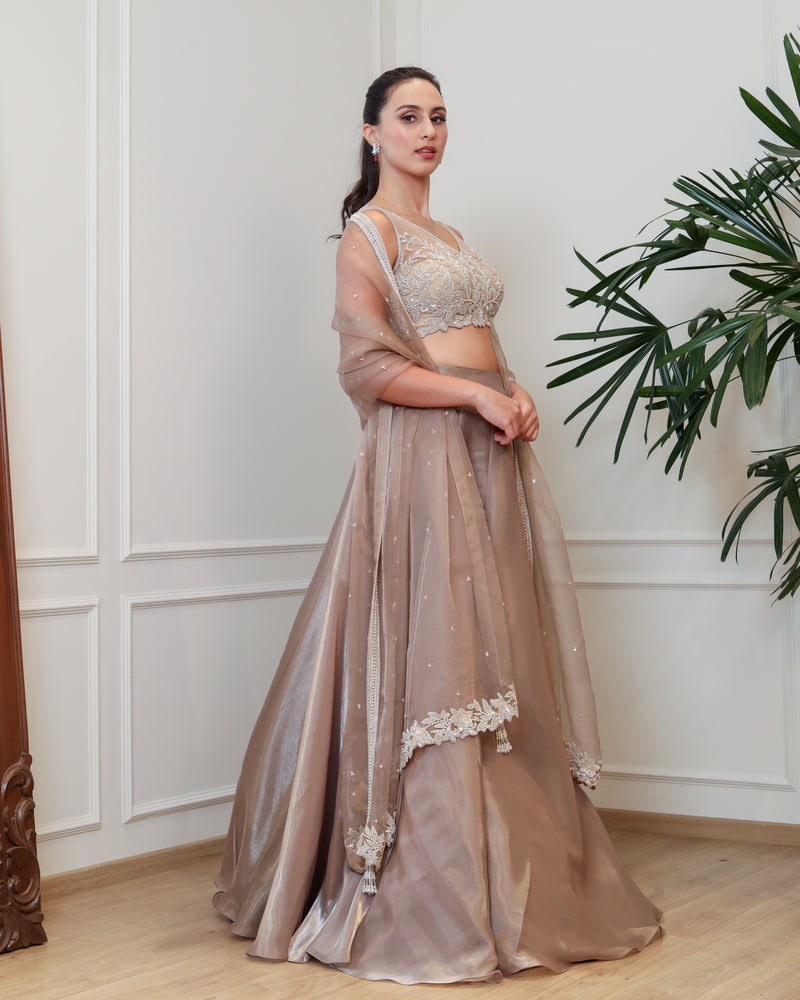 Taupe Organza Lehenga