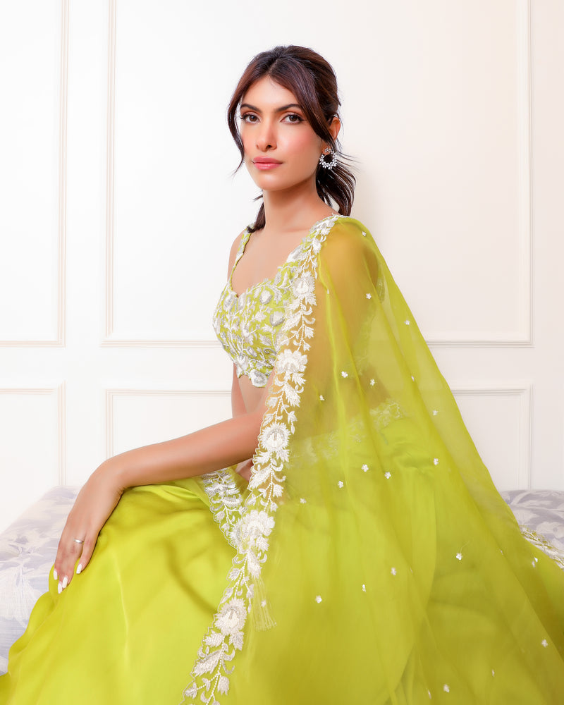Lime Green Lehenga Set
